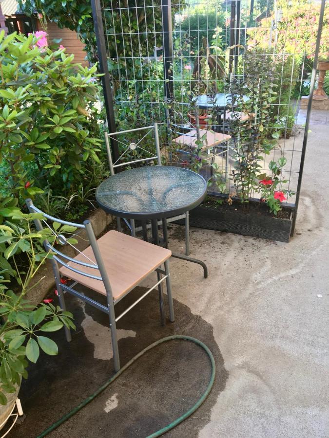 Cabanas El Galo Panguipulli Ngoại thất bức ảnh